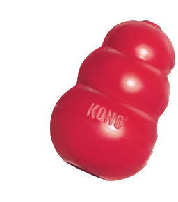 KONG