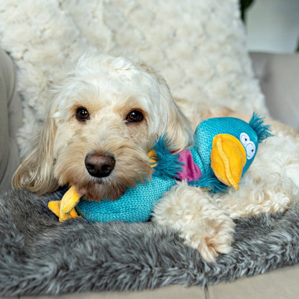 Animal Instincts Teal Tails Tom the Duck Plush with Squeaker