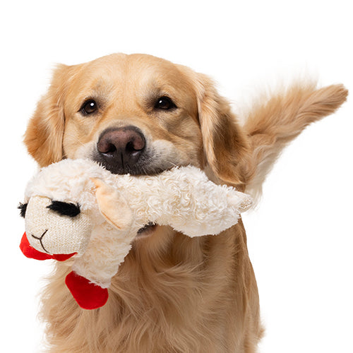 Lamb Chop Ultra Plush Dog Toy with Squeaker Sizes
