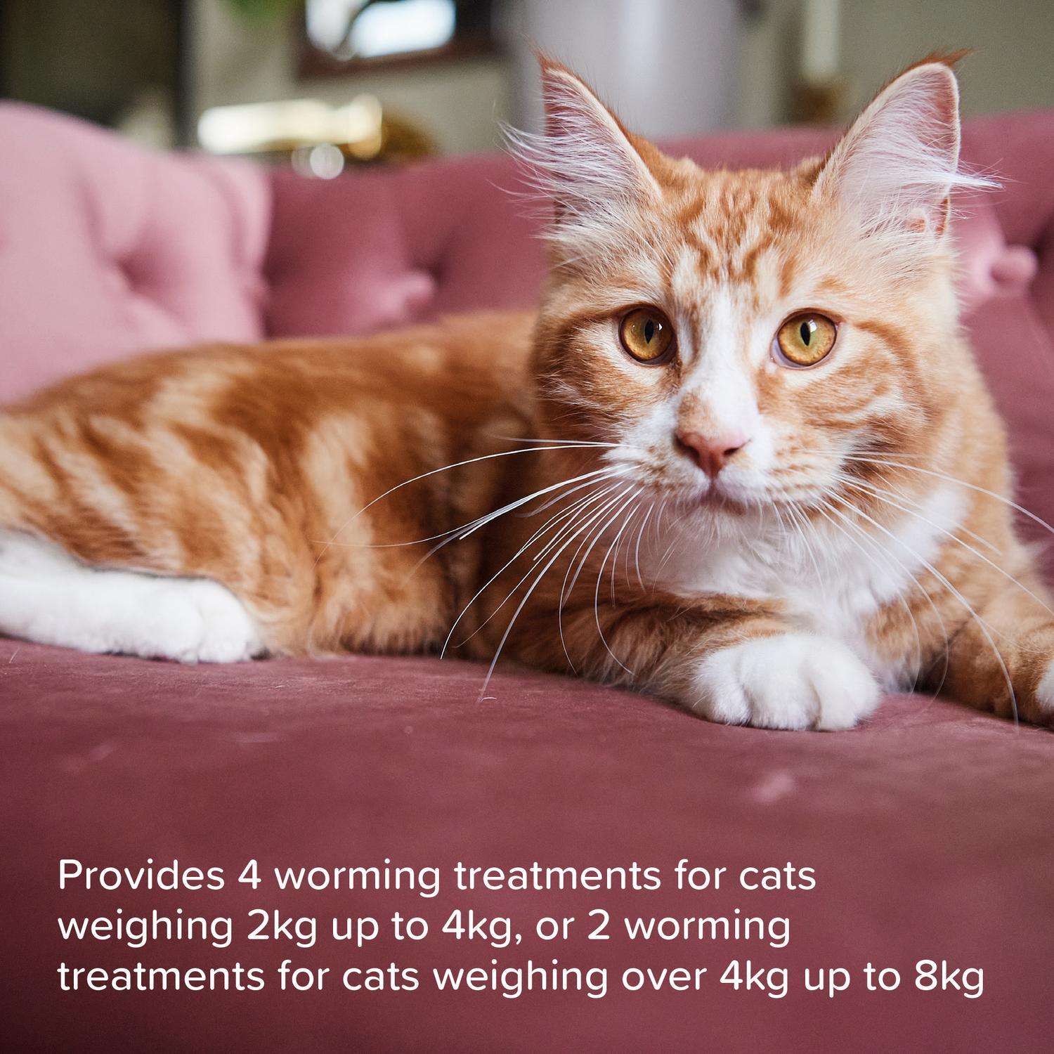 Beaphar WormClear Worming Tablets for Cats x 4