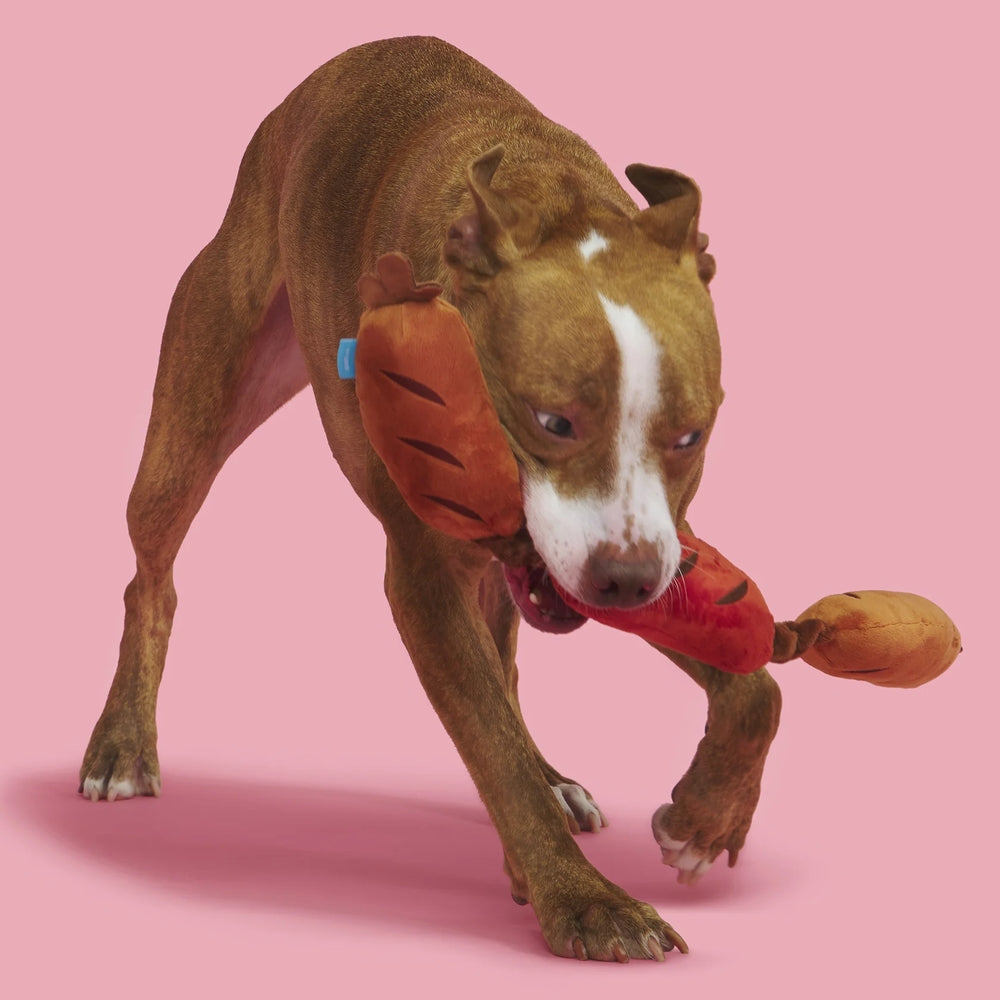 BARK Lickin' Links Plush Dog Toy