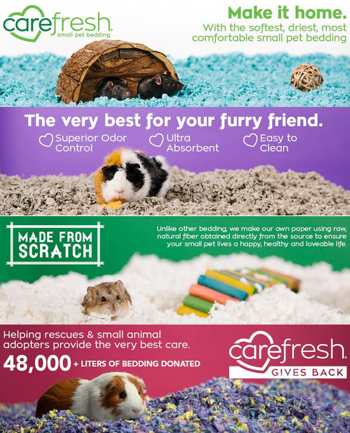carefresh guinea pig food