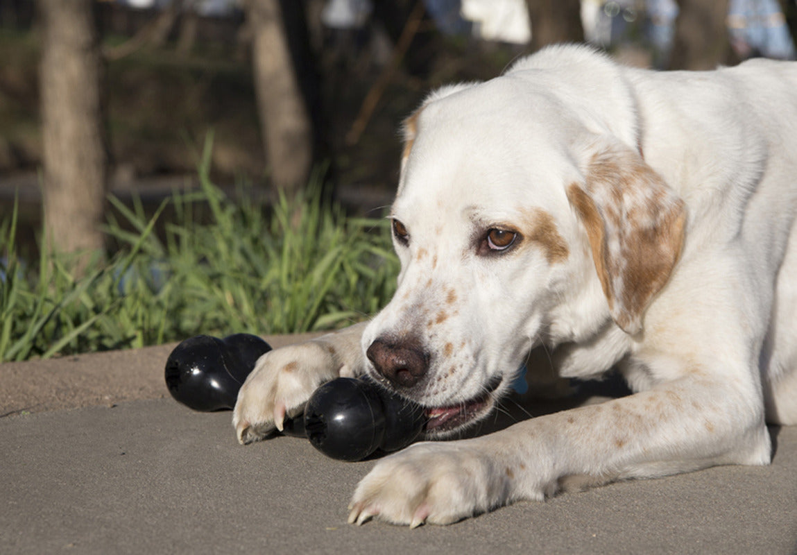 KONG Extreme Goodie Bone