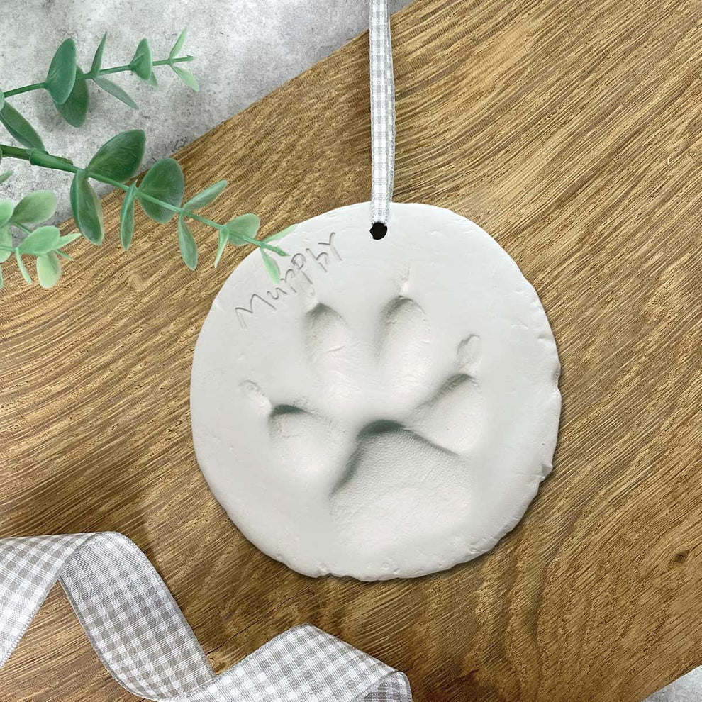 Clay Pet Paw Print Impression Moulding Kit