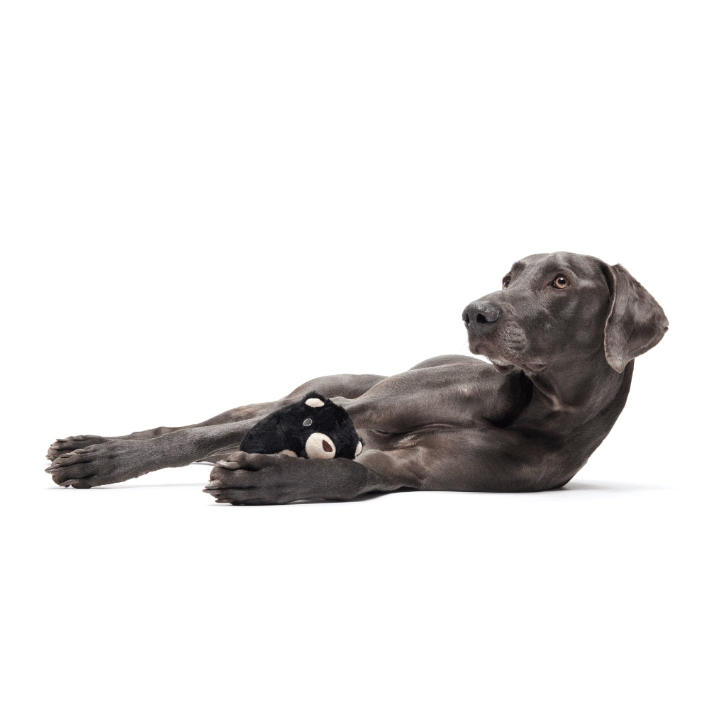 BARK Black Bear Bones Super Chewer Dog Toy