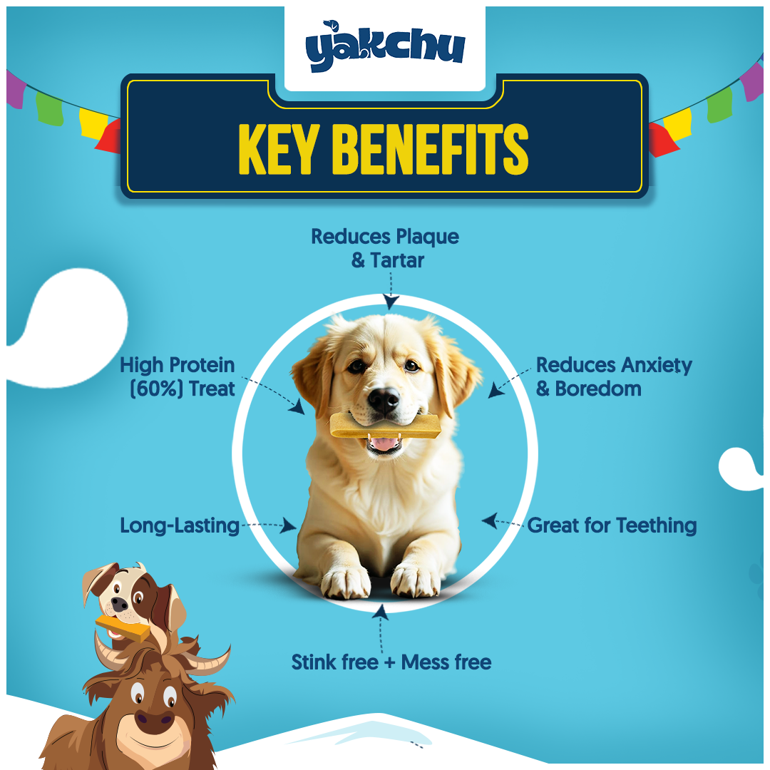 Yakchoo Himalayan Yak Cheese Dog Chews – Large 130g - 2 or 3 Pack Options
