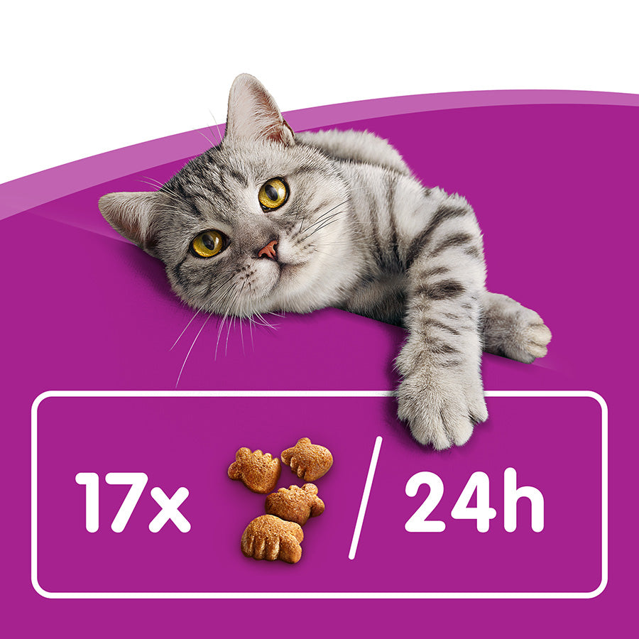 Whiskas Dentabites Cat Treats with Chicken 40g