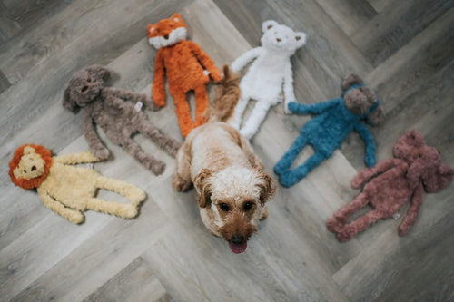 Plush dog toys best sale