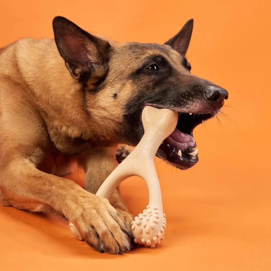 BetterBone Dog Chew Toys HARD Durability 2 Sizes