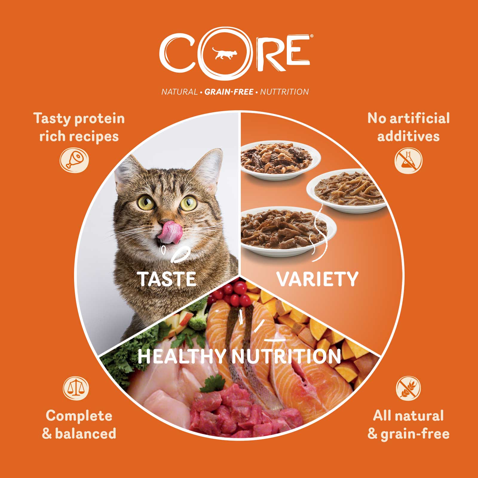 Wellness CORE Cat Wet Adult Tender Cuts Turkey Selection Multipack 6 x 85g