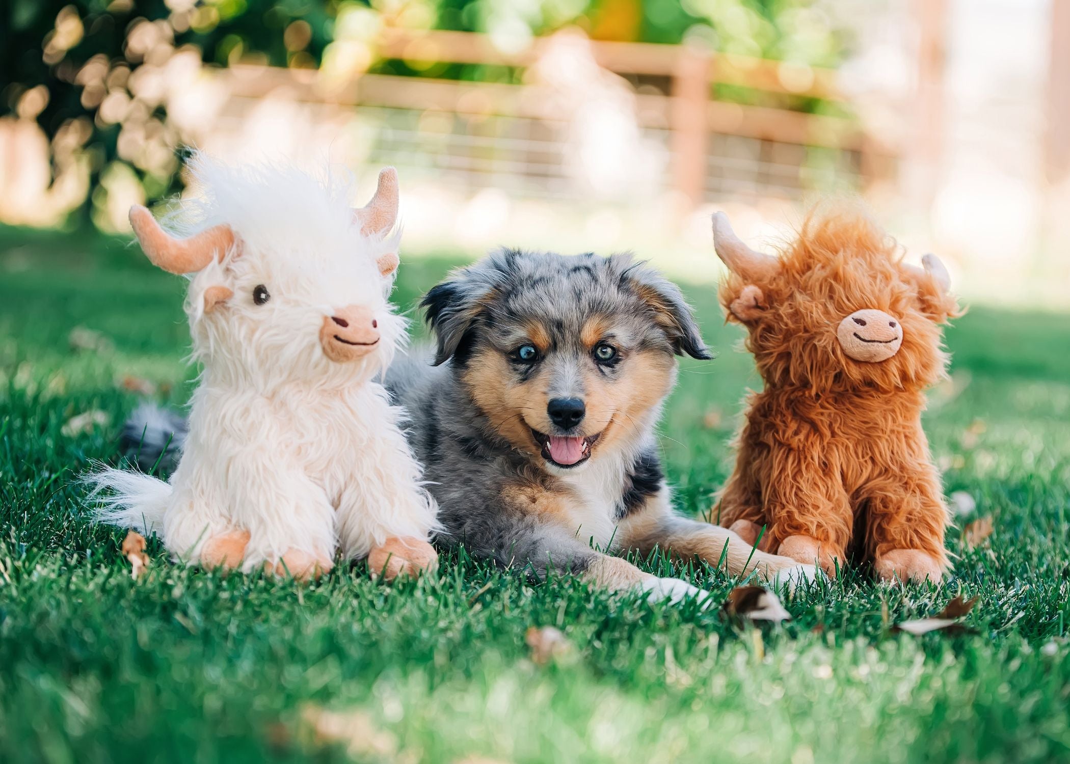 Highland Cow Soft Plush Dog Toys 2 Sizes