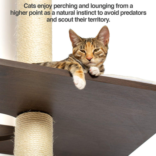 Petfusion cat tree best sale