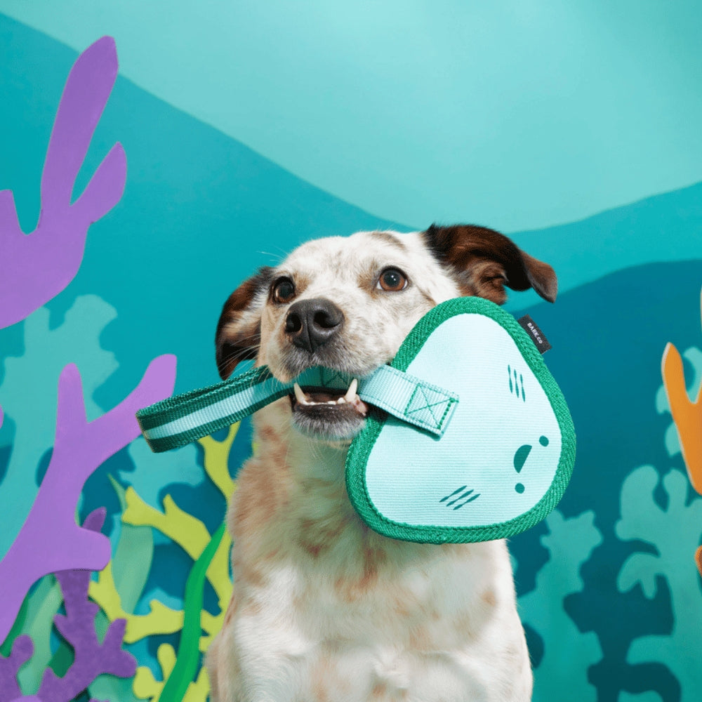 Bark Flingray Super Chewer Dog Toy