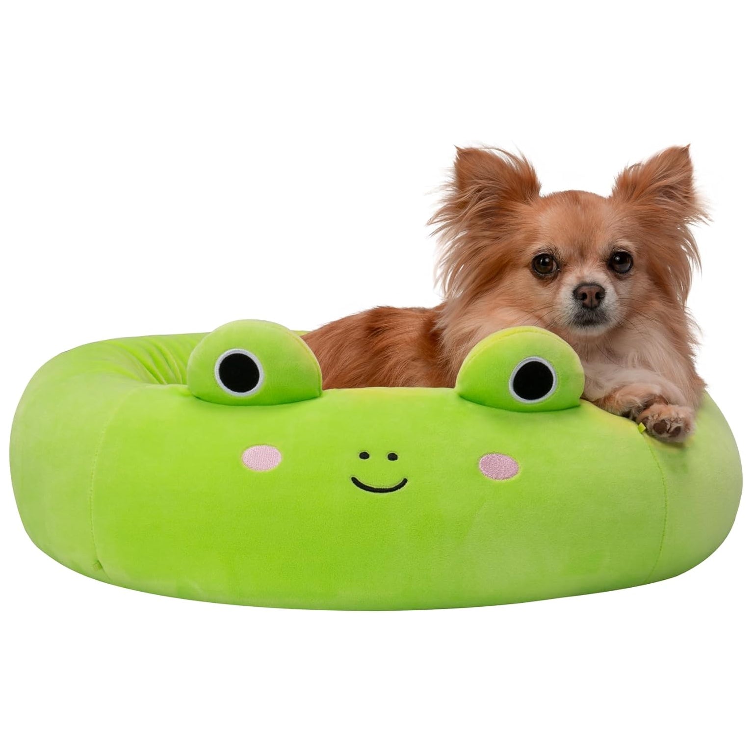 Squishmallows Pet Beds Wendy the Frog 3 Sizes