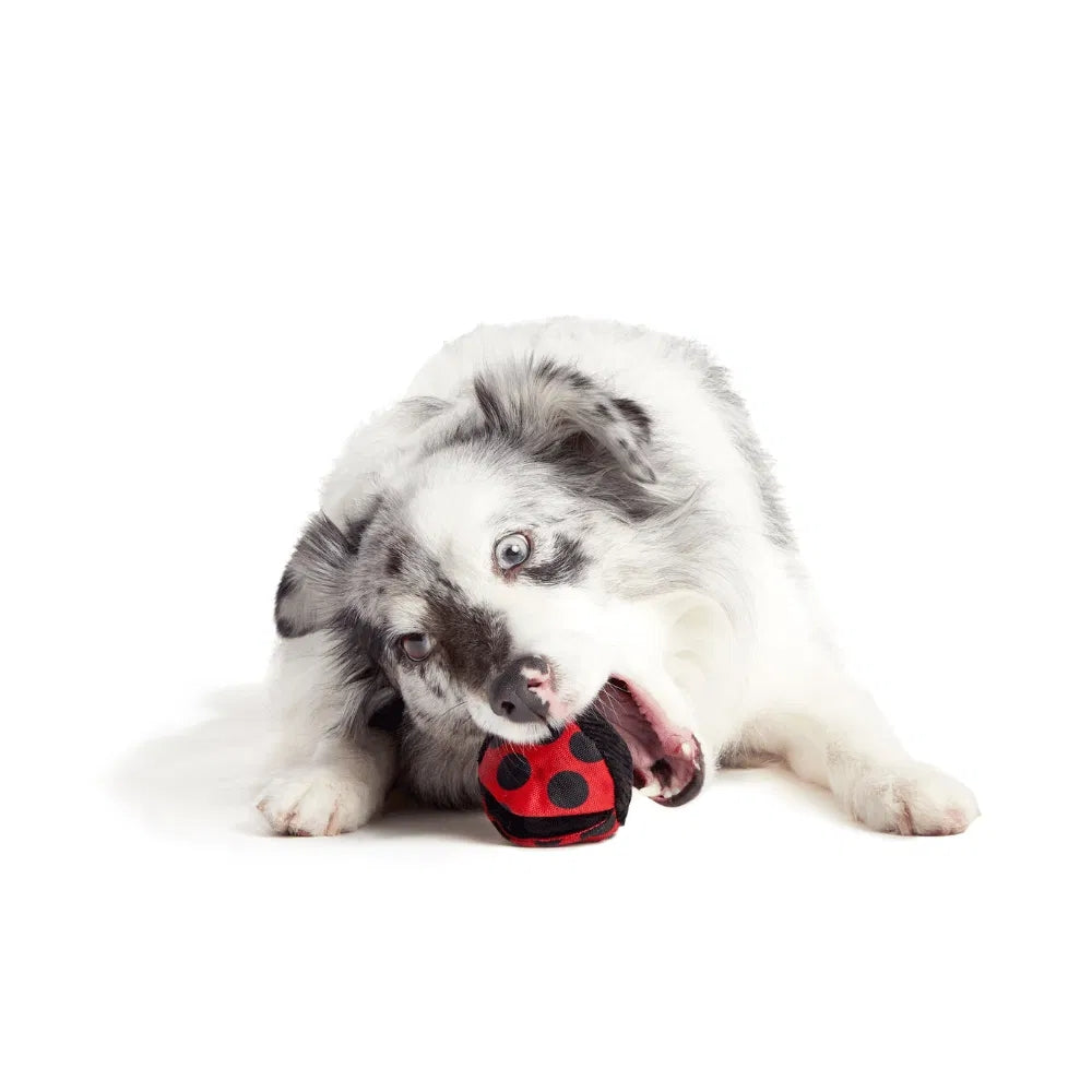 BARK Lady Bugsy Backyard Garden Super Chewer Dog Toy