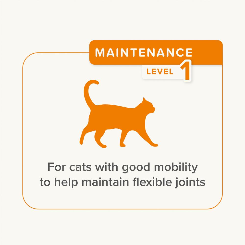 Beaphar Flexifit Joint Care Cat Treats Bits 35g