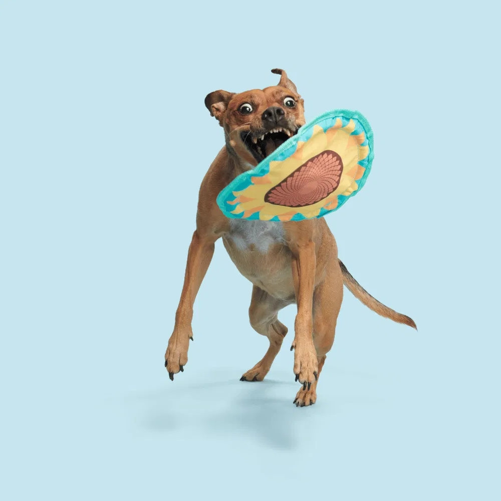 BARK Sunflower Flinger Backyard Garden Dog Toy