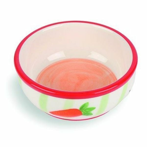 Happy Pet Carrot Stripe Pet Bowl