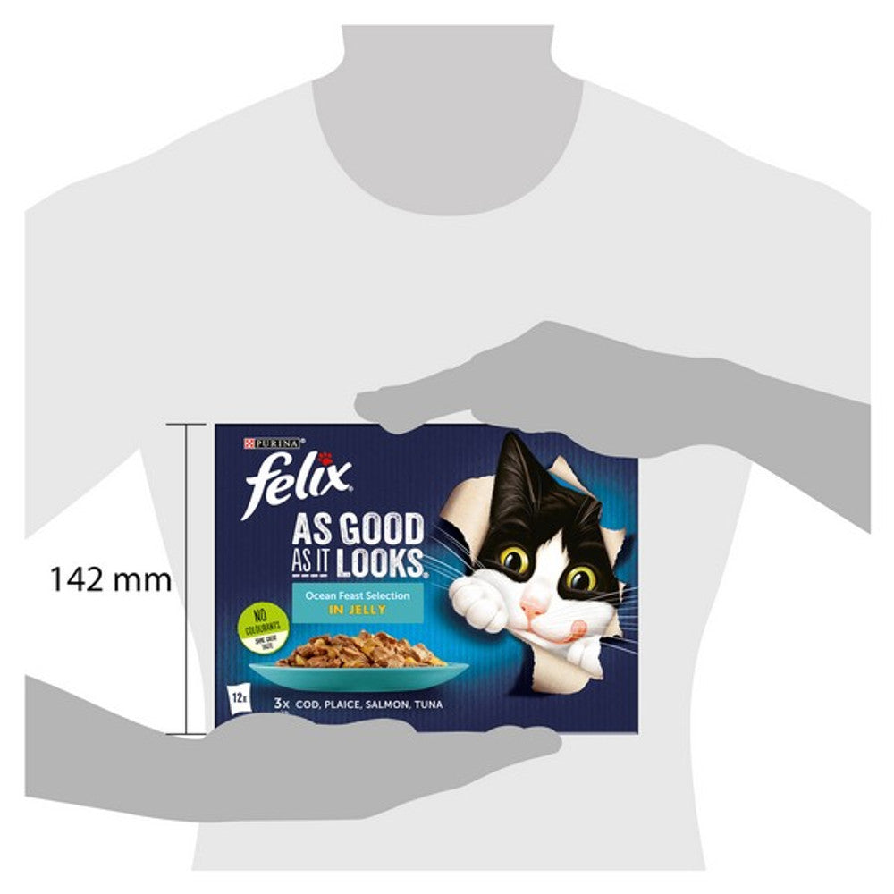 Felix As Good As it Looks Ocean Feasts in Jelly 12 x 85g