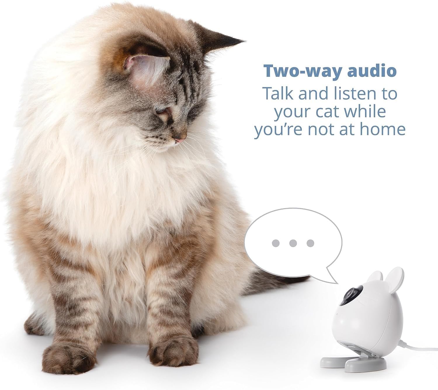 Catit Pixi Smart Mouse Camera