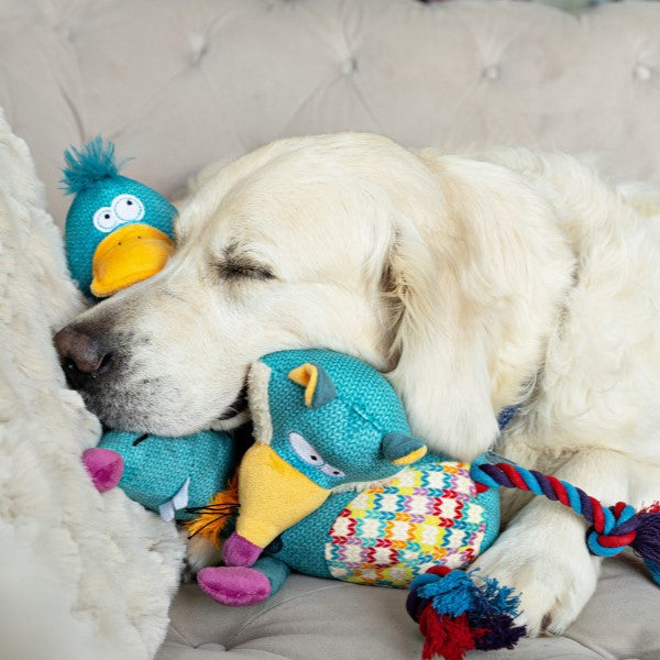 Animal Instincts Teal Tails Tom the Duck Plush with Squeaker