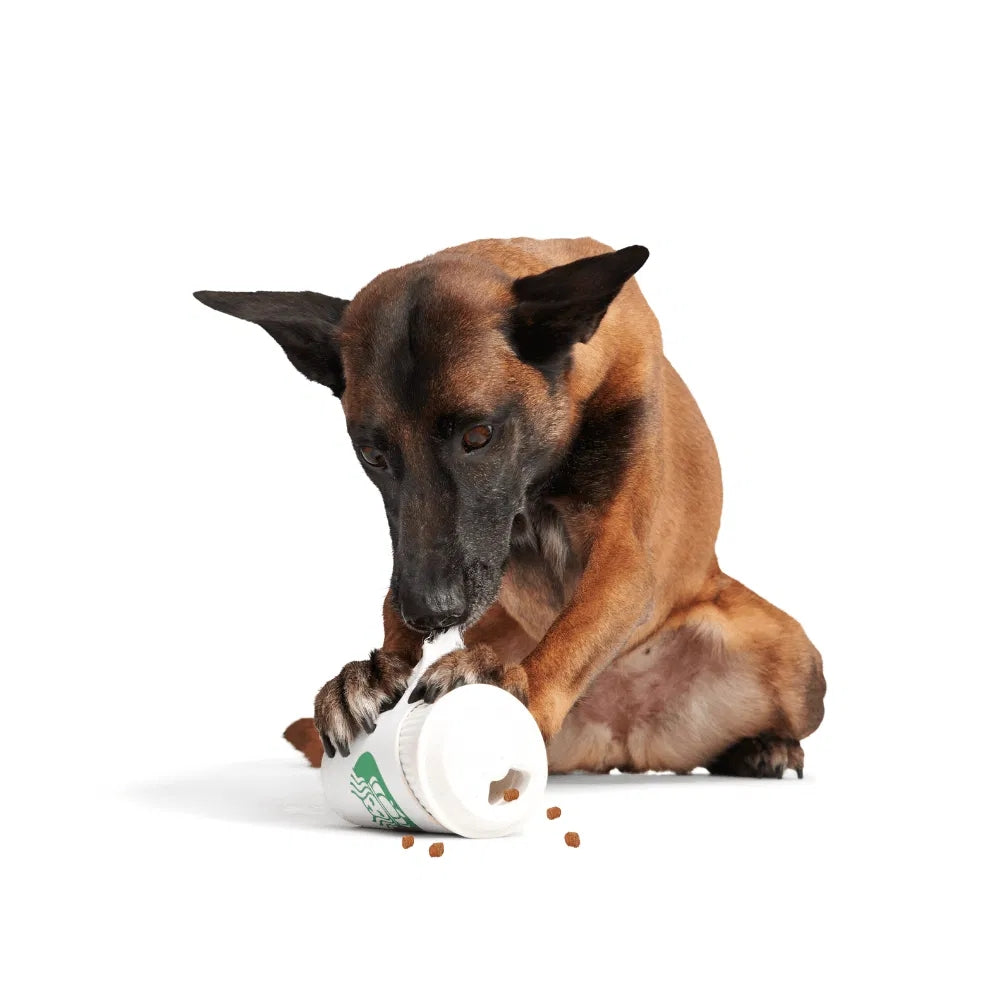 Bark Pupkin Spice Yappucino Super Chewer Dog Toy