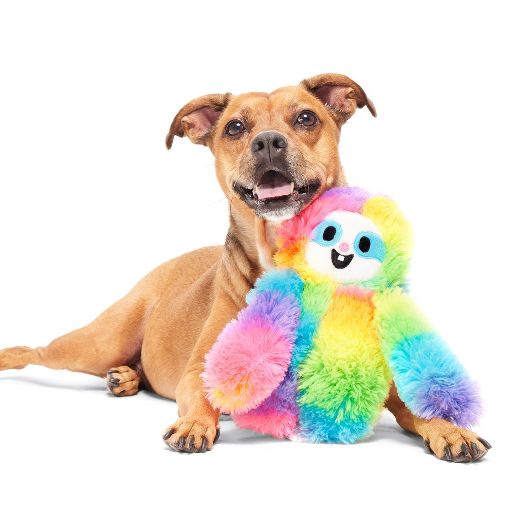 BARK Good Vibes Gary Plush Dog Toy