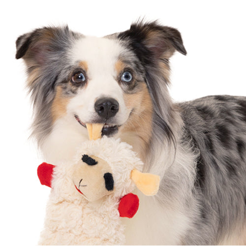 Lamb Chop Ultra Plush Dog Toy with Squeaker 3 Sizes