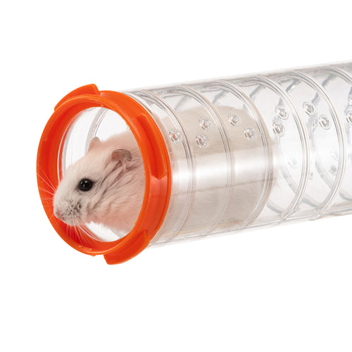 Hamster in tube hotsell