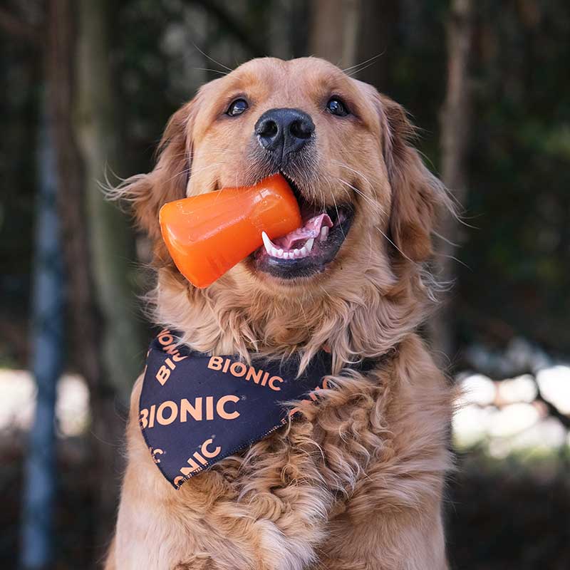 BIONIC Treat Shaker Dog Toy 3 Sizes