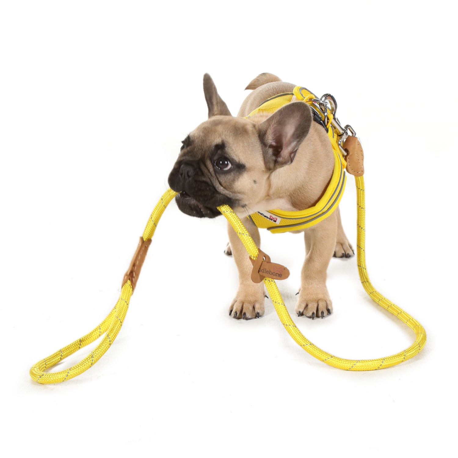 Doodlebone Originals Rope Lead 1.2m Sunshine