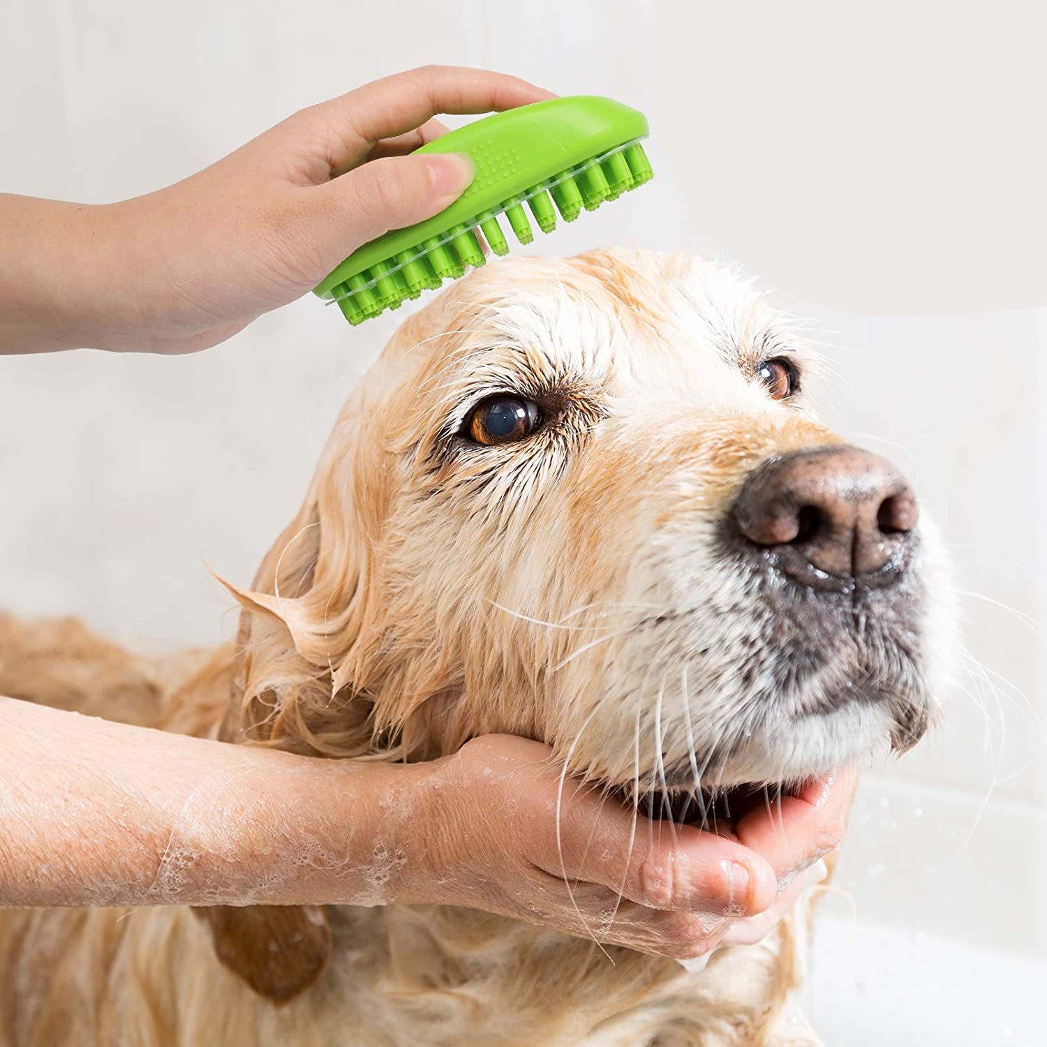 Bath and hotsell brush pet grooming