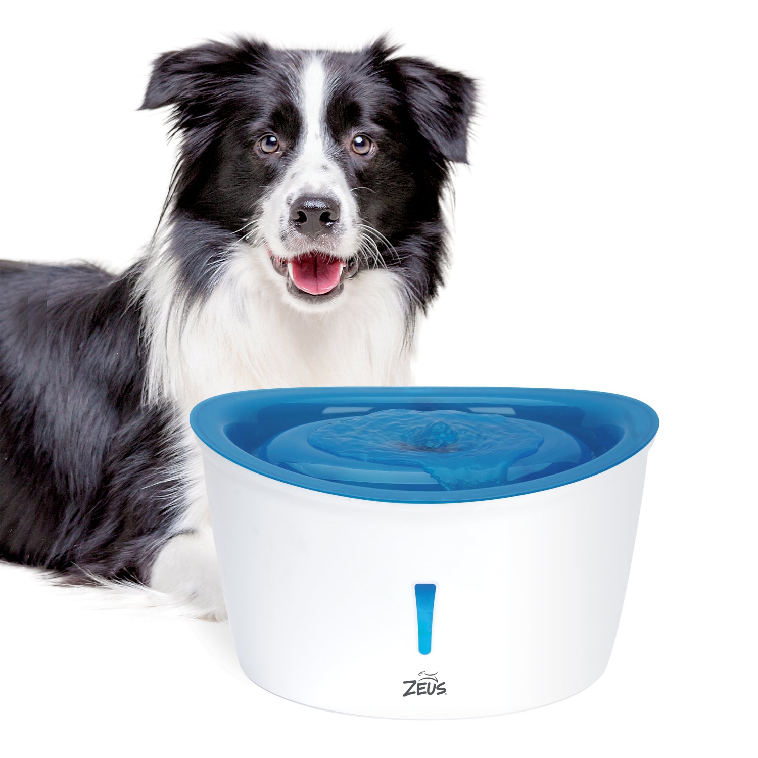 Dog pet sales water fountain