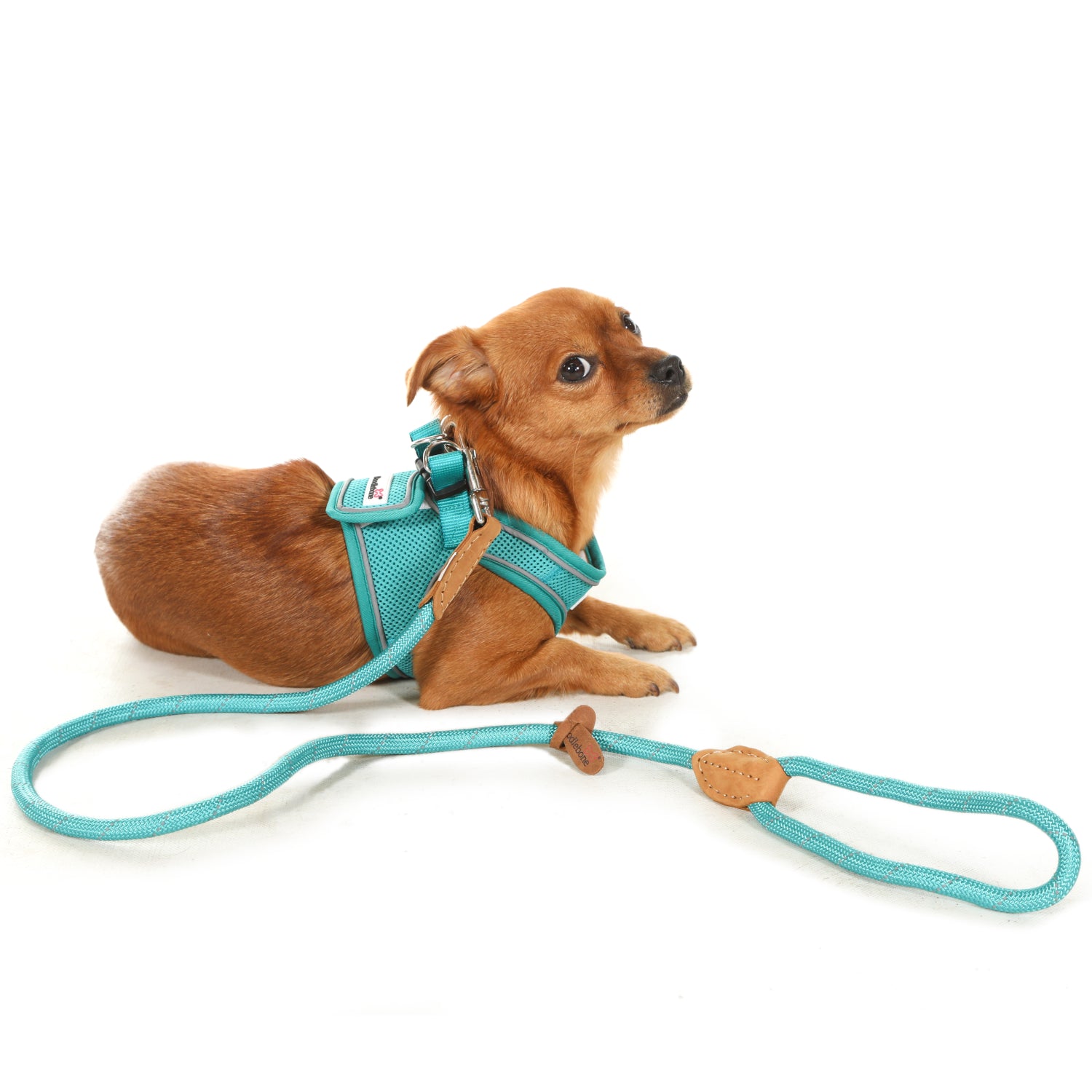 Doodlebone Originals Rope Lead 1.2m Sunshine