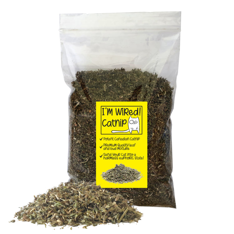 3,800+ Catnip Seeds For Growing Fresh Or Dried Catnip - Herb Gardening Kit